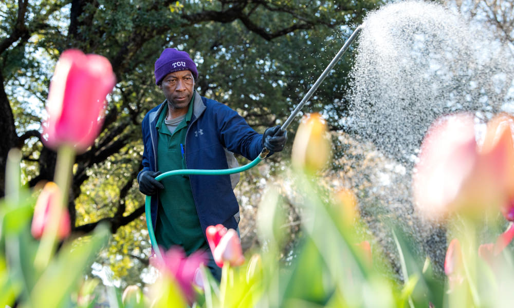 landscape employee watering flower bed